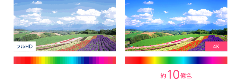 [フルHD] 約1677万色 / [4K] 約10億色