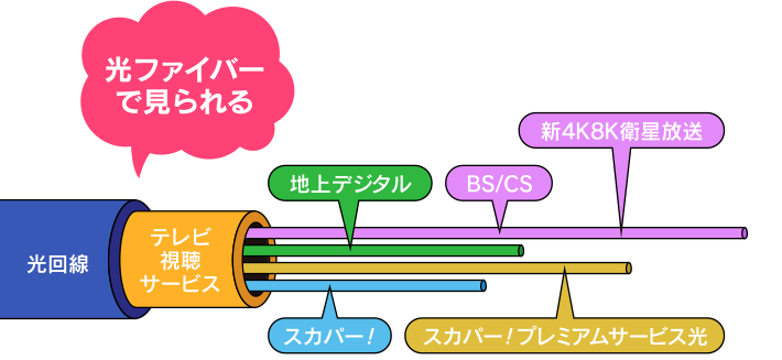 光ファイバーで見られる